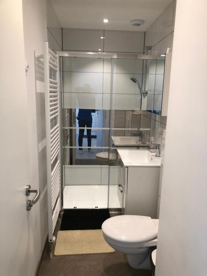 Appartement Willa Chez Willi Niederschaeffolsheim Dış mekan fotoğraf