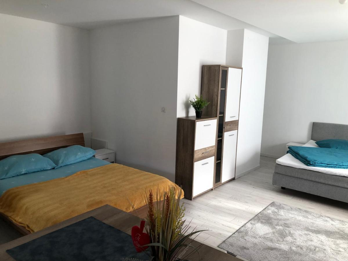Appartement Willa Chez Willi Niederschaeffolsheim Dış mekan fotoğraf